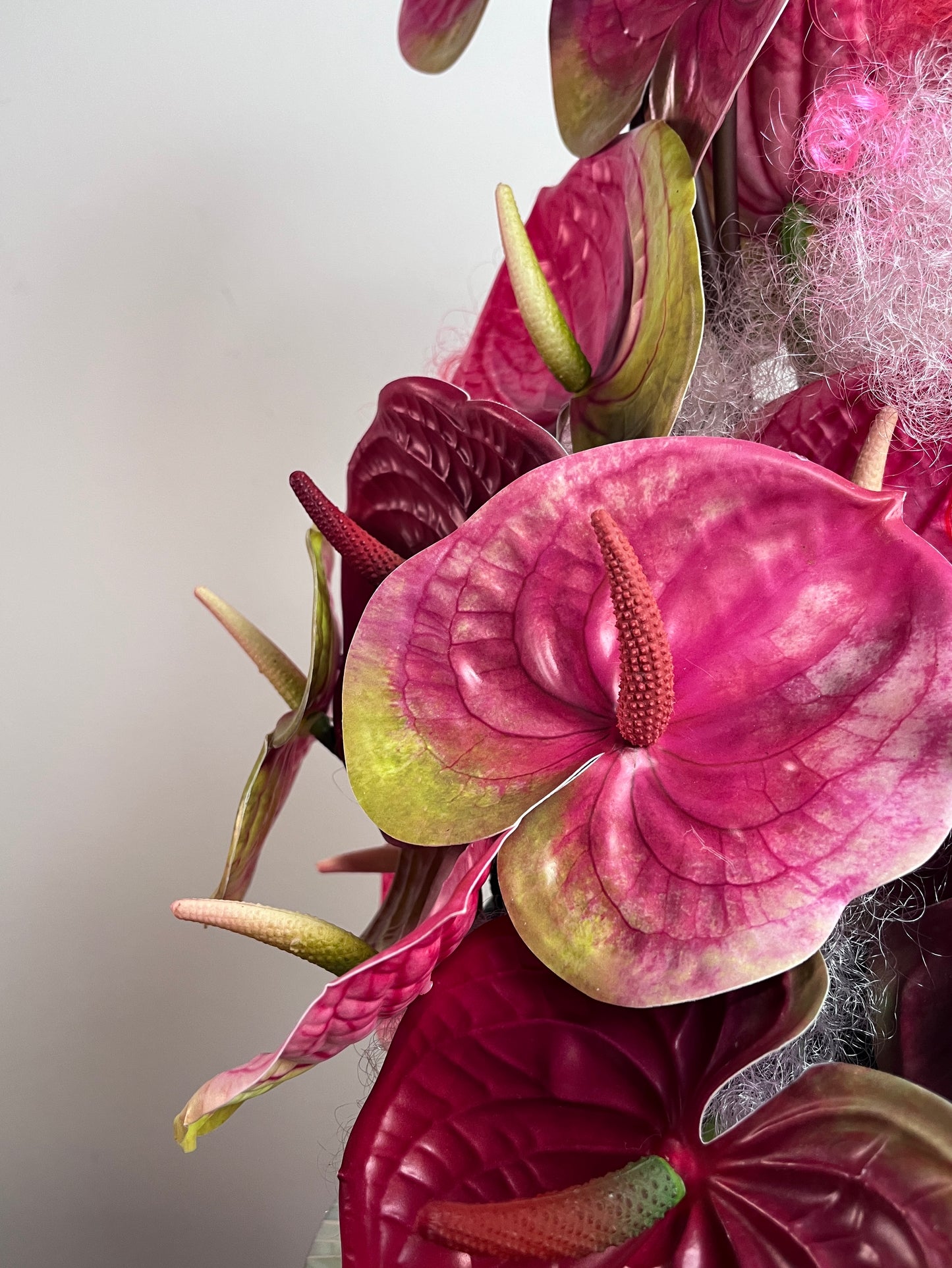Pose: Anthurium Edition