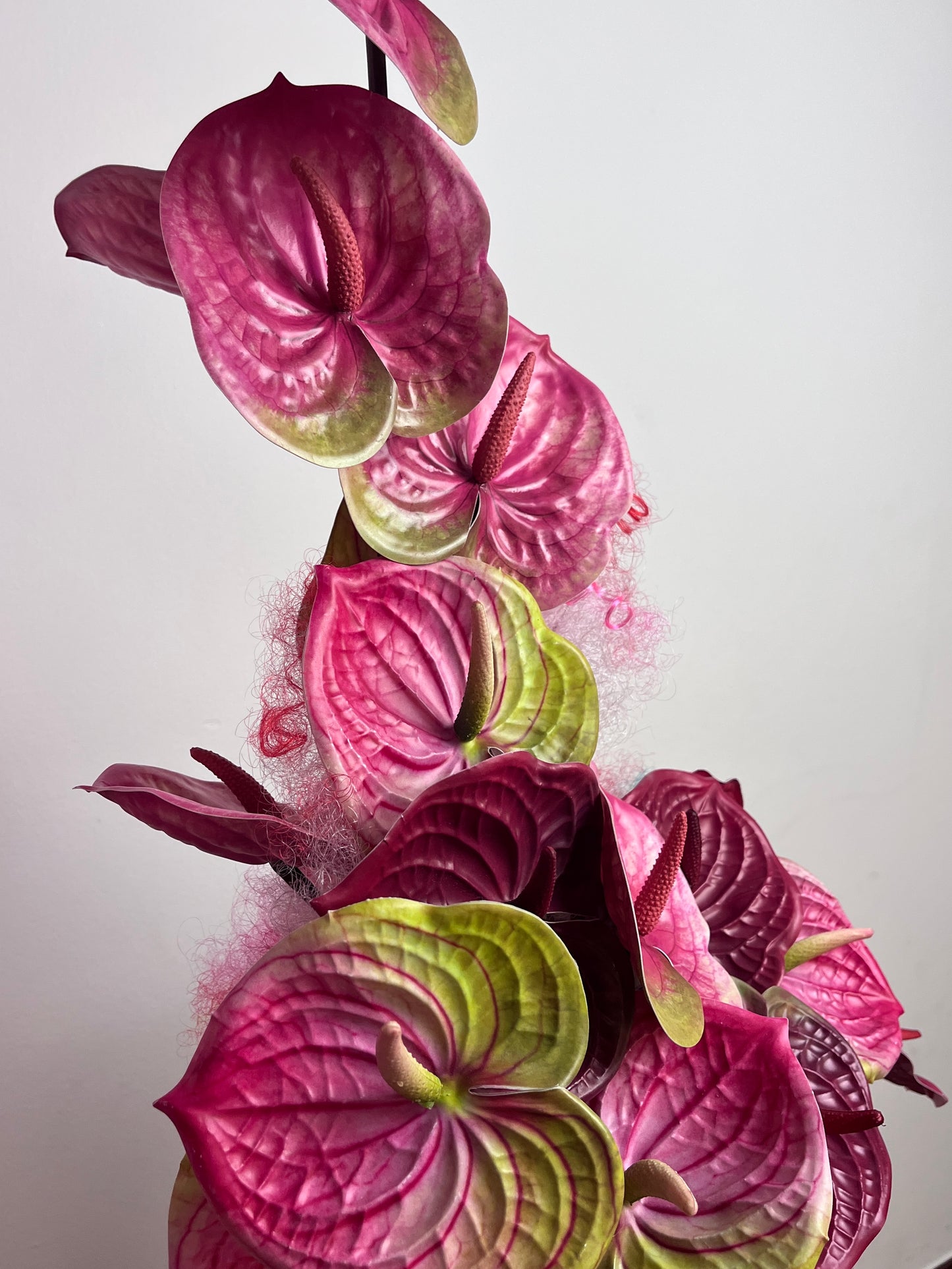Pose: Anthurium Edition