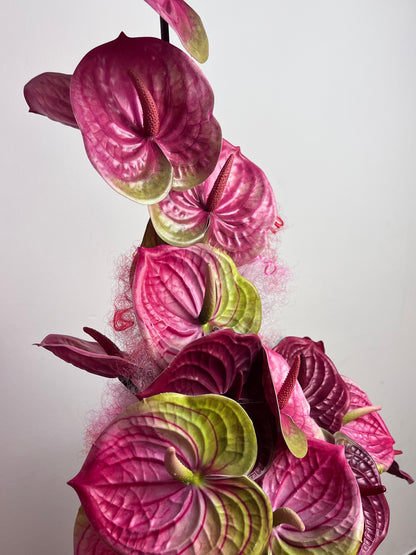 Pose: Anthurium Edition