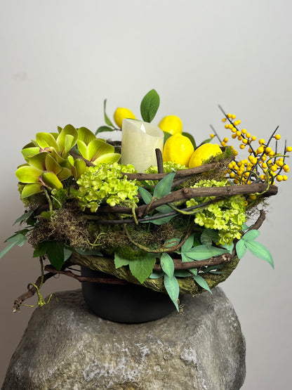 Sculptural Citrus Twist