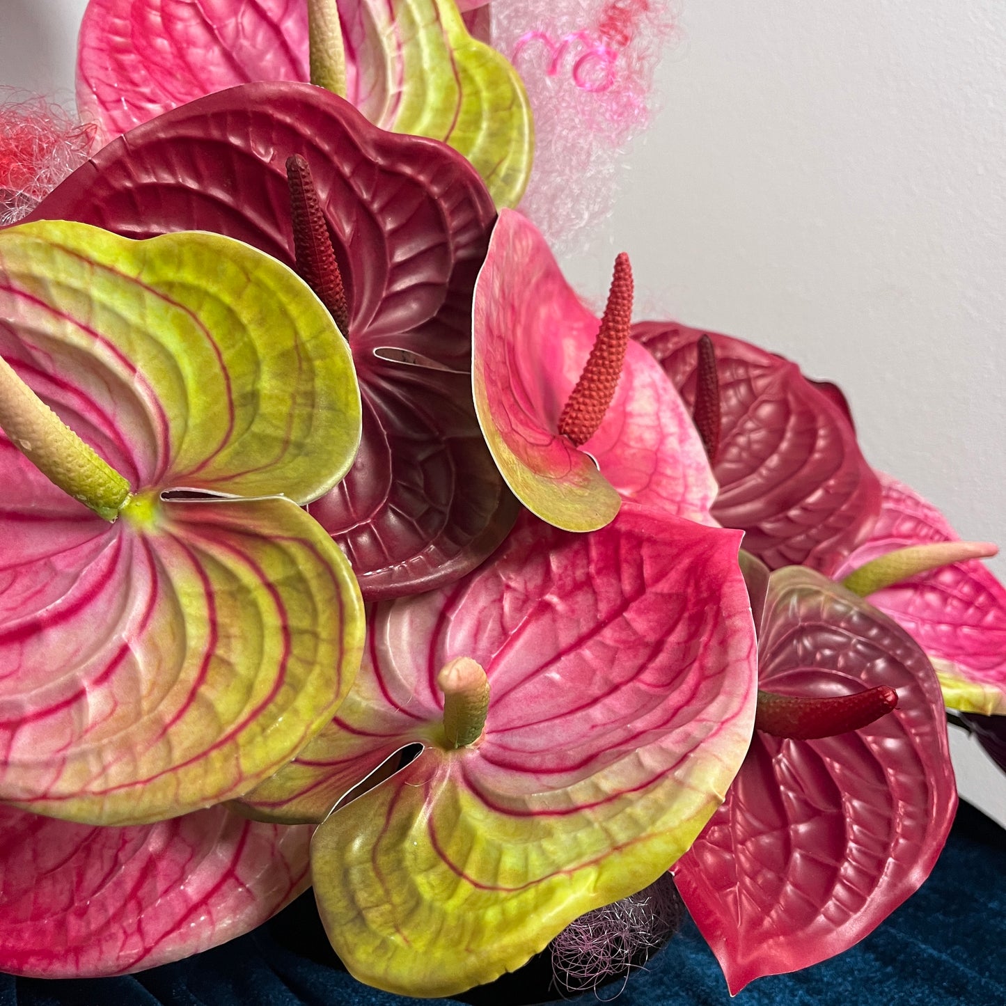 Pose: Anthurium Edition