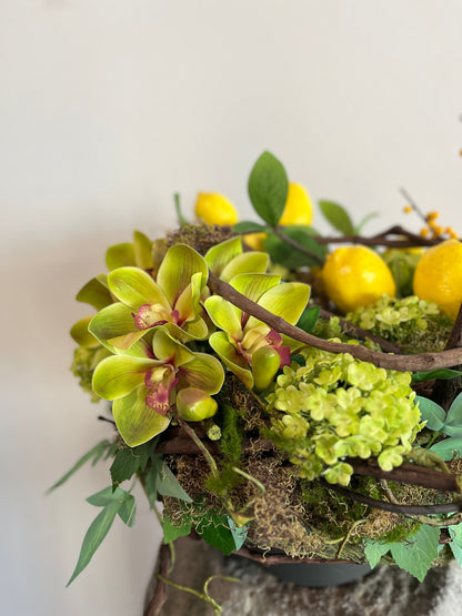 Sculptural Citrus Twist