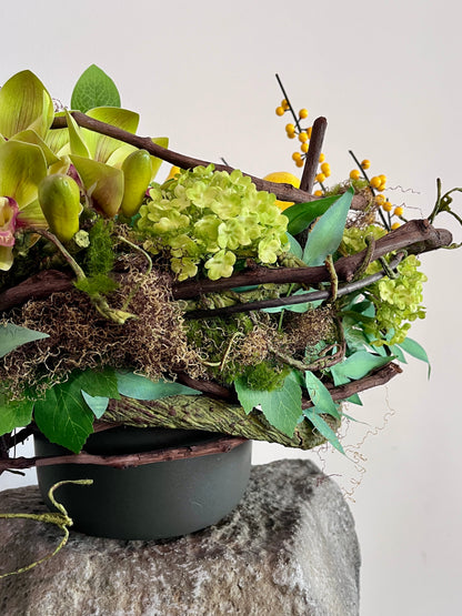 Sculptural Citrus Twist